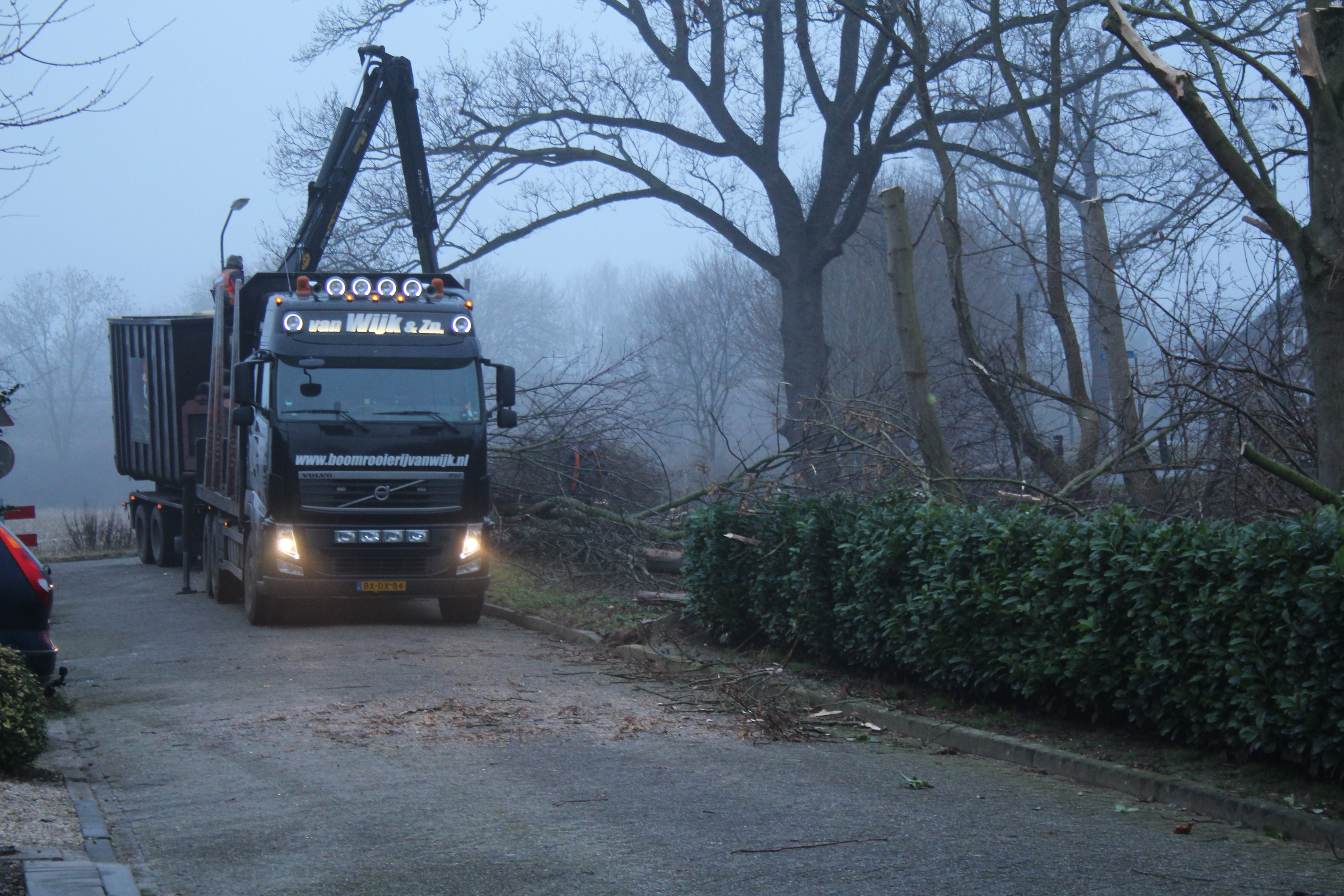bomen kappen helvoirt