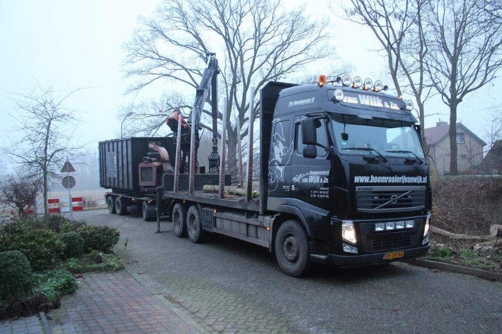 boomstronk verwijderen den bosch