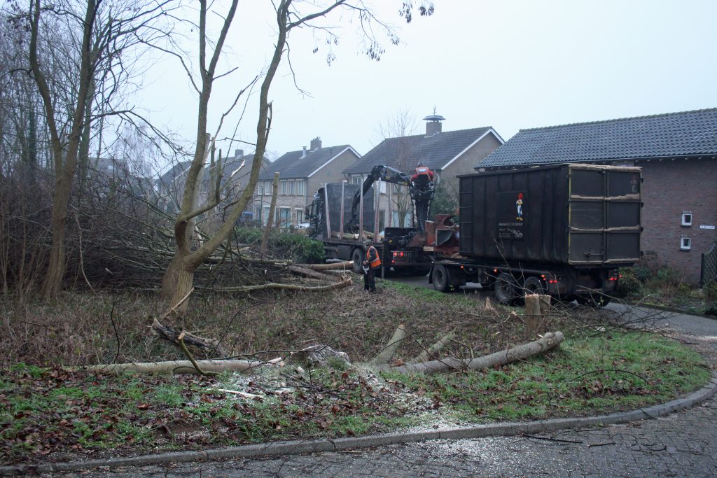 bomen kappen helvoirt