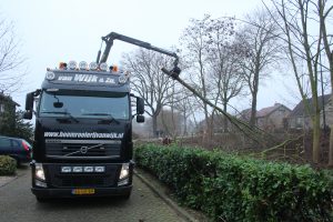 Bomen verwijderen