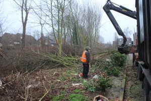 Bomen verwijderen