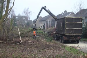 Bomen verwijderen