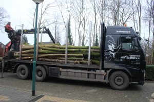 boomstronk verwijderen den bosch