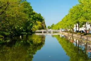 bomen klimaatadaptie stedelijke gebieden