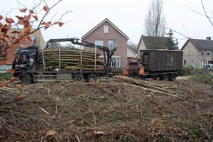 kostenbesparing strategisch boomonderhoud